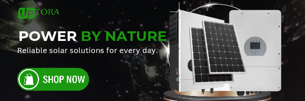 Inverter & Battery