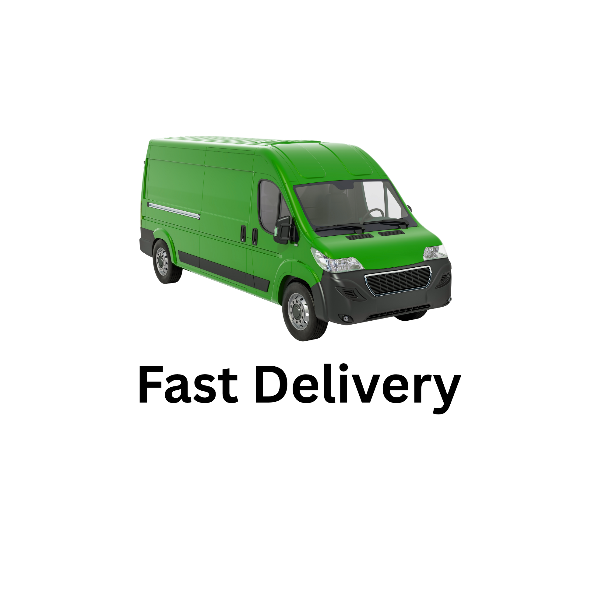 Fast Delivery